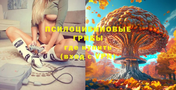 ПСИЛОЦИБИНОВЫЕ ГРИБЫ Киренск
