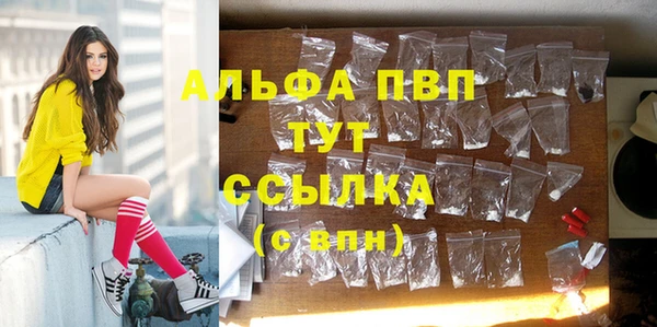 крисы Кодинск