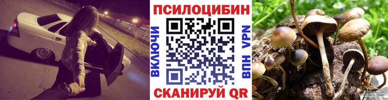 блэк спрут ссылка  хочу   Стрежевой  Псилоцибиновые грибы Magic Shrooms 