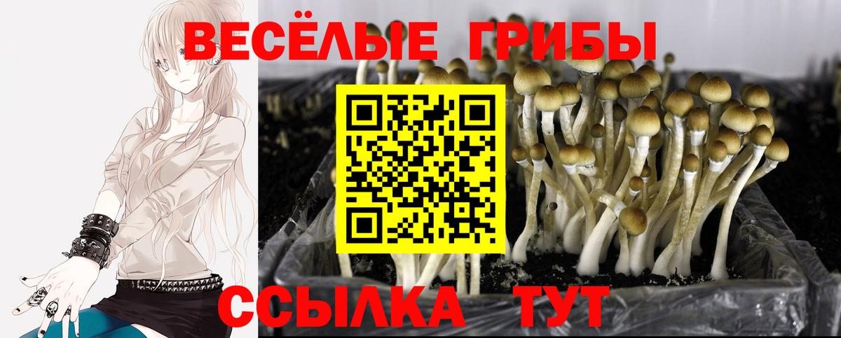 Галлюциногенные грибы Magic Shrooms Стрежевой